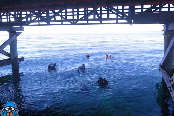 PADI Open Water Course: Learn to Scuba from Rockingham to Rottnest Island photo 4