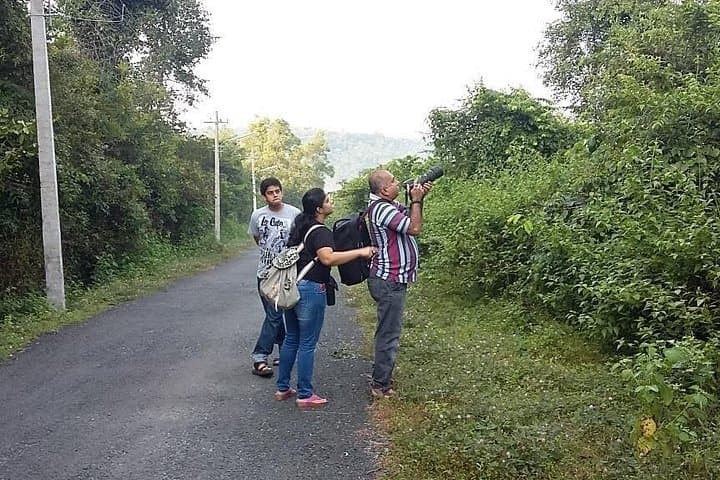 Half-Day Private Butterfly Sanctuary Tour with Authentic Goan Meal near Panaji photo 5