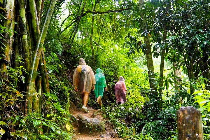 Rainforest Trekking in Kitulgala: Kelani River Hike & Endemic Birding photo 2