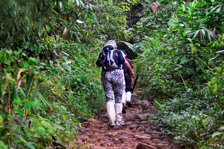 Rainforest Trekking in Kitulgala: Kelani River Hike & Endemic Birding photo 3