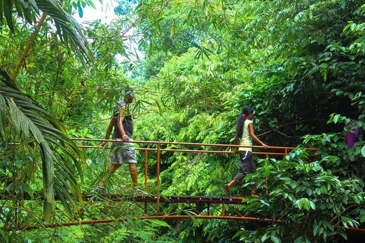 Rainforest Trekking in Kitulgala: Kelani River Hike & Endemic Birding photo 5
