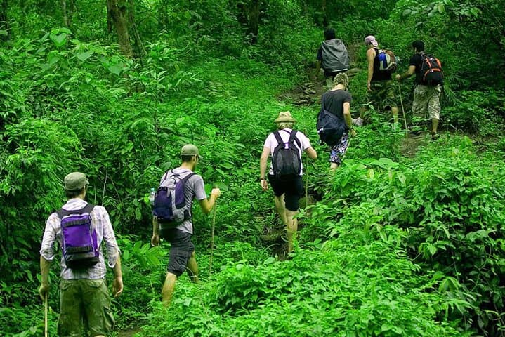 Rainforest Trekking in Kitulgala: Kelani River Hike & Endemic Birding