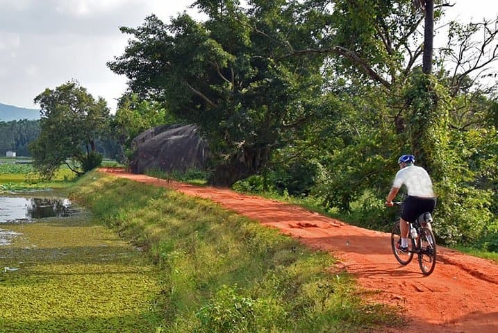 Cycling Polonnaruwa Ancient Ruins: Parakrama Samudra Historic Bike Tour photo 5