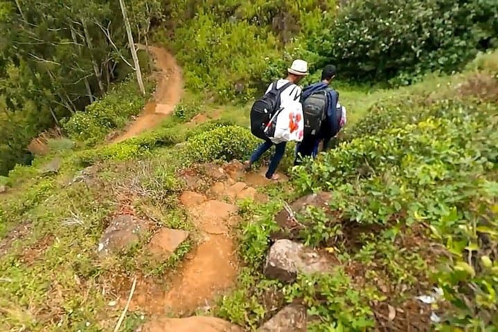 Devil's Staircase Hike: Bambarakanda Falls to Ohiya — 15 km High-Plateau Trek photo 5