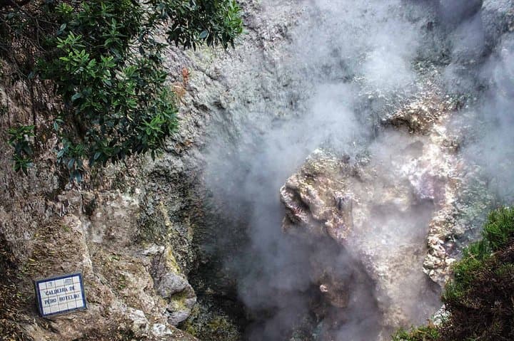 Furnas & Terra Nostra: Biologist-Guided Botanic Tour, Cozido Lunch & Thermal Baths photo 3