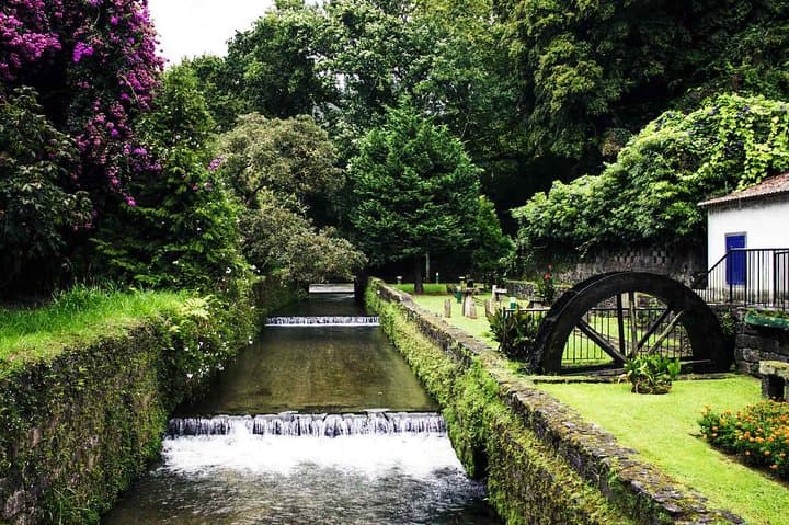 Furnas & Terra Nostra: Biologist-Guided Botanic Tour, Cozido Lunch & Thermal Baths photo 4