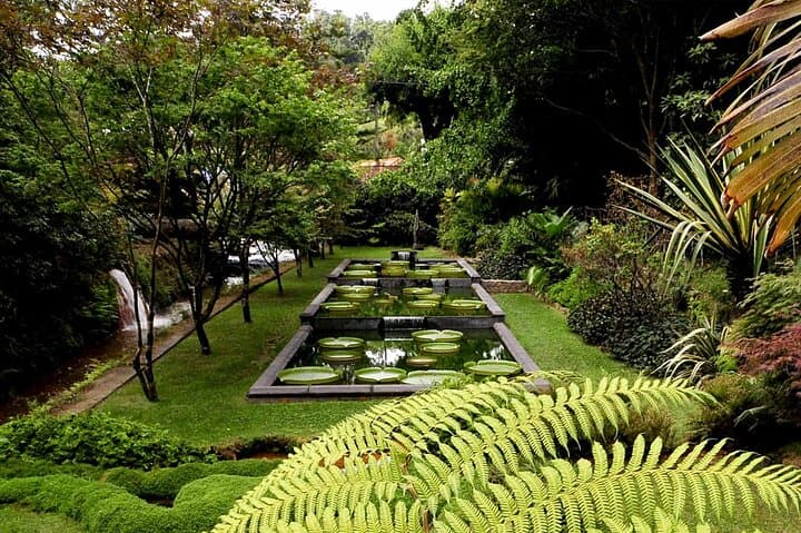 Furnas & Terra Nostra: Biologist-Guided Botanic Tour, Cozido Lunch & Thermal Baths photo 6