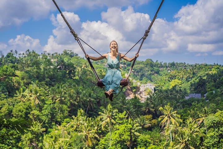 Private Full-Day Ubud Culture Tour — Monkey Forest, Rice Terraces & Waterfall photo 2
