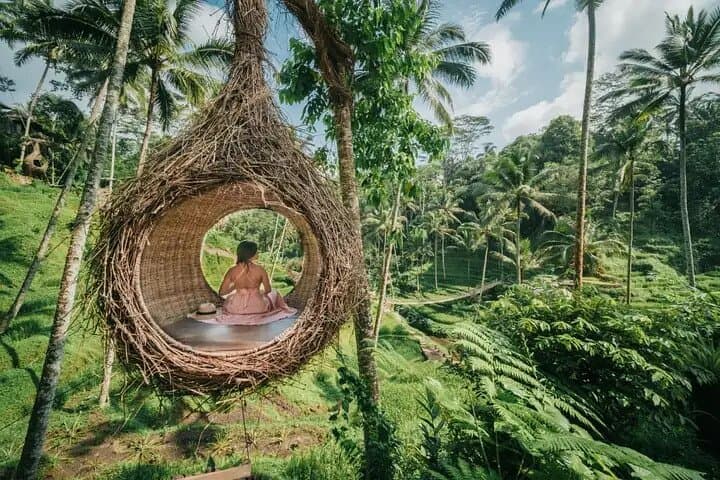 Design Your Own Bali Tour — Private Customized Day Trips from Ubud or South Bali photo 4