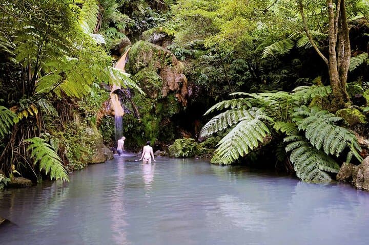 Lagoa do Fogo Biologist-Guided Volcano Tour & Hot Springs Bath — São Miguel Day Trip photo 6