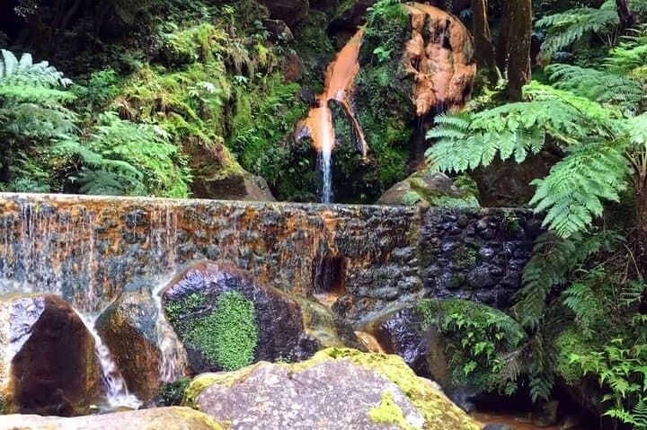 Lagoa do Fogo Biologist-Guided Volcano Tour & Hot Springs Bath — São Miguel Day Trip photo 5