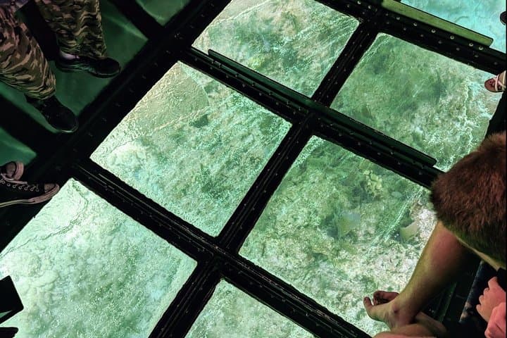 Key Largo Glass-Bottom Boat to John Pennekamp Coral Reef