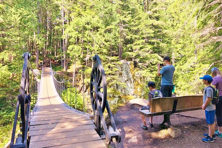 Whistler Train Wreck Hike: Suspension Bridge, Hidden Waterfall & Cheakamus River Walk photo 5