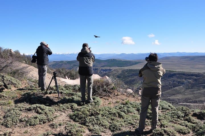 La Buitrera Condor Photo Tour — Private Birdwatching from Bariloche