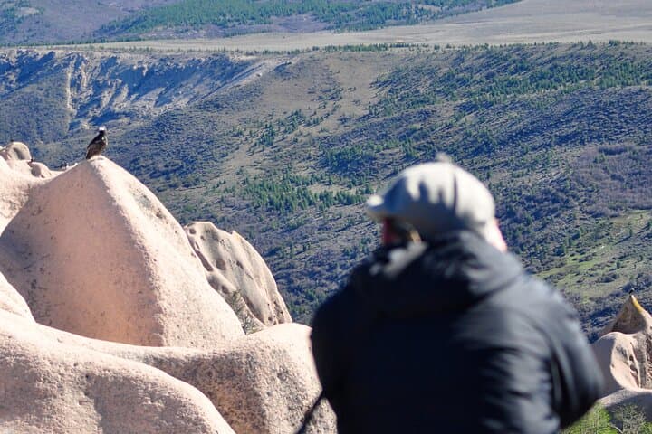La Buitrera Condor Photo Tour — Private Birdwatching from Bariloche photo 5