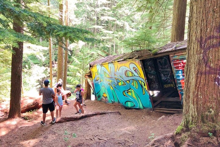 Whistler Train Wreck Hike: Suspension Bridge, Hidden Waterfall & Cheakamus River Walk photo 6