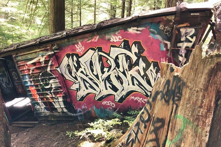 Whistler Train Wreck Hike: Suspension Bridge, Hidden Waterfall & Cheakamus River Walk photo 4
