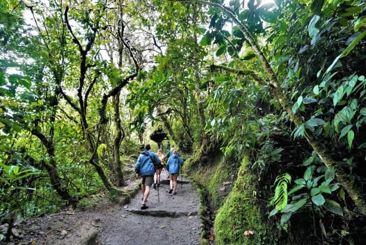 Quito Discovery: City Sights, Mindo Cloud Forest & Otavalo Market Adventure photo 1