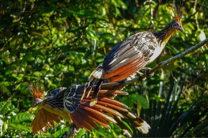 Quito Discovery: City Sights, Mindo Cloud Forest & Otavalo Market Adventure photo 2
