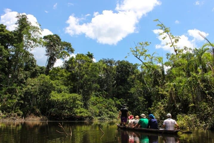 Yasuni Explorer: 4-Day Amazon Camping & Wildlife Expedition in Tiputini photo 2