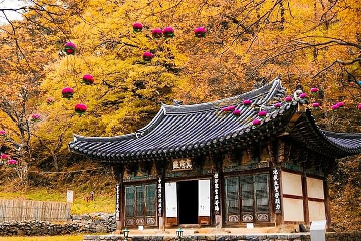 South Korea Highlights: 7-Day Cultural and Nature Tour photo 6