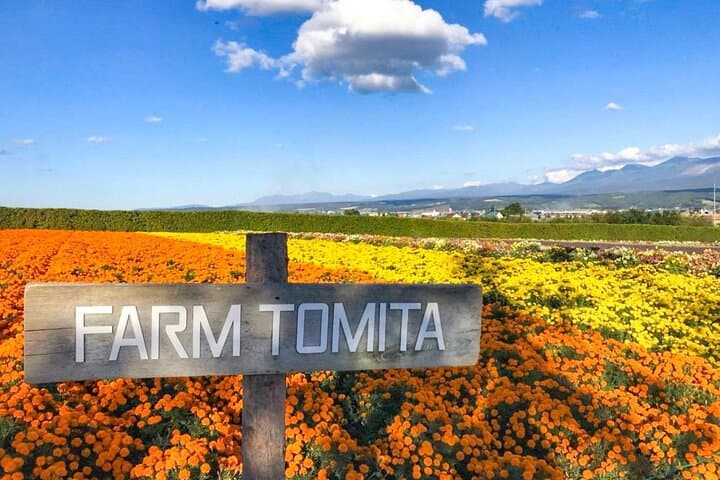 Furano & Biei Private 6-Hour Chauffeur Tour — Lavender Fields, Blue Pond & Local Flavors photo 2
