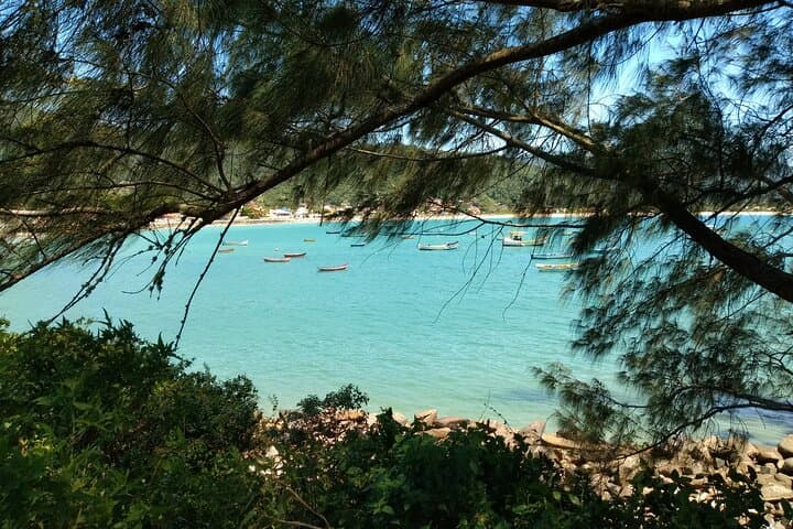 Seven Preserved Beaches of Florianópolis' South Island — Private Coastal Tour photo 1