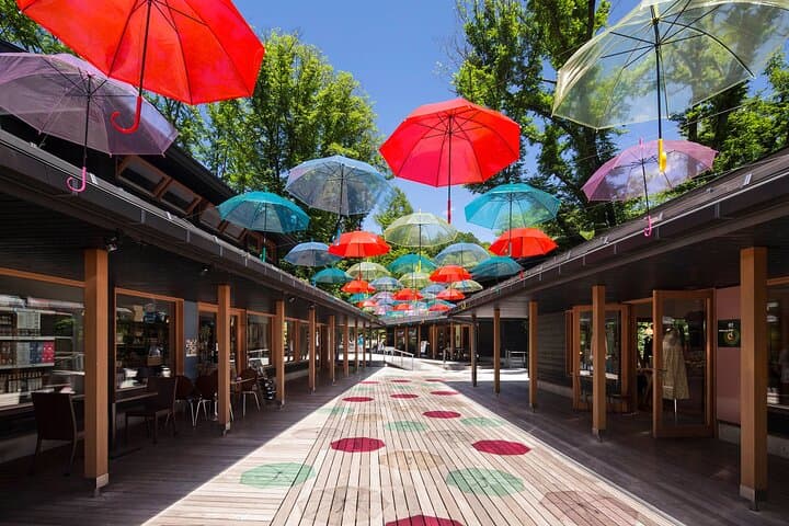 Full-Day Private Karuizawa Walking Tour with Licensed Guide — Customize Your Route photo 2