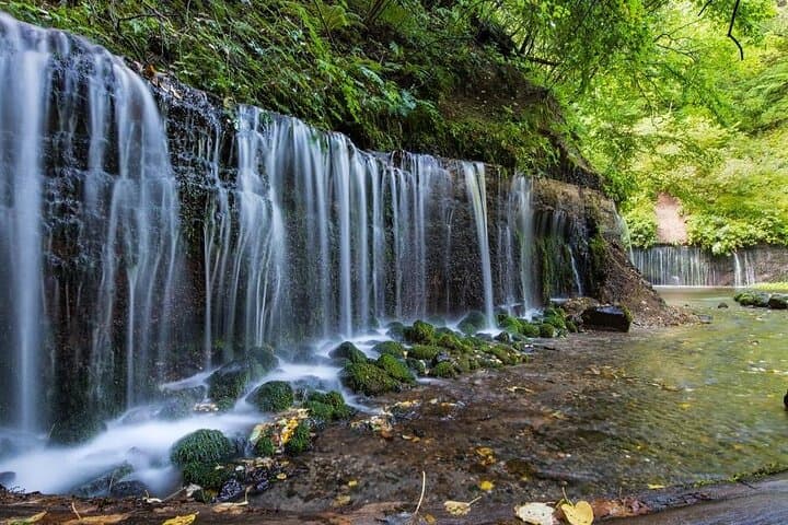 Full-Day Private Karuizawa Walking Tour with Licensed Guide — Customize Your Route photo 3