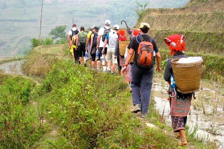 3-Day Muong Hoa Valley Trek from Sapa: Homestay & Rice Terraces photo 5