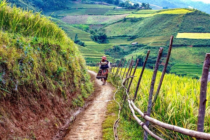 3-Day Muong Hoa Valley Trek from Sapa: Homestay & Rice Terraces photo 6