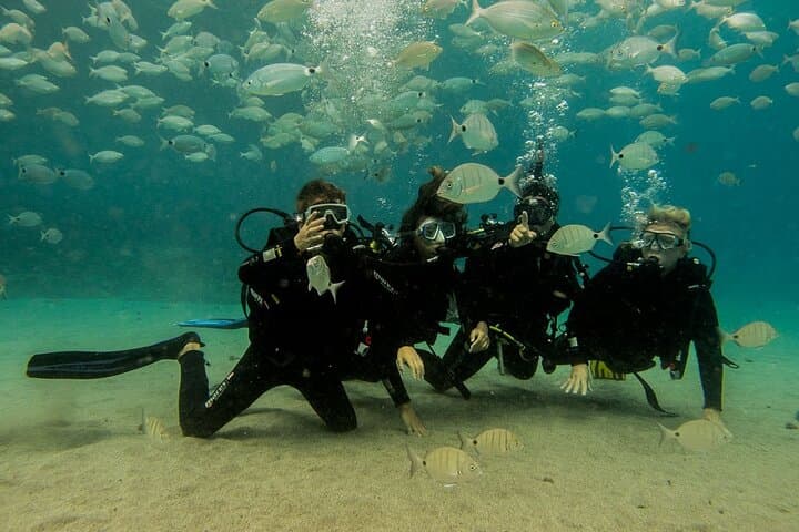 Discover Scuba Diving in Lanzarote: Playa Blanca Introductory Bay Dive photo 5