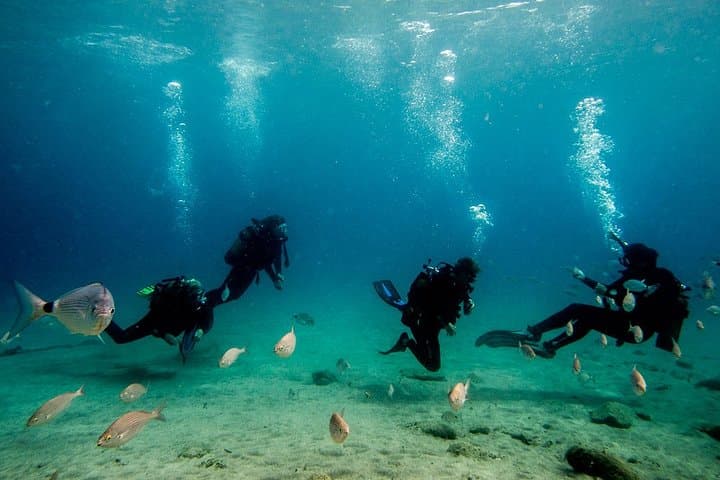 Discover Scuba Diving in Lanzarote: Playa Blanca Introductory Bay Dive photo 6