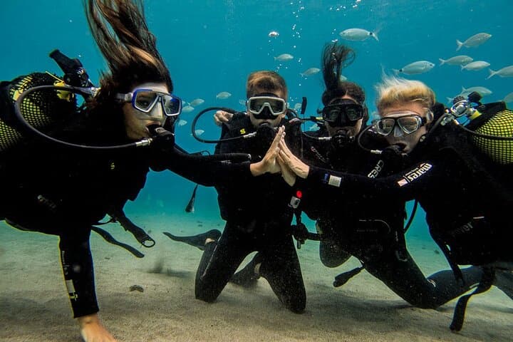 Discover Scuba Diving in Lanzarote: Playa Blanca Introductory Bay Dive