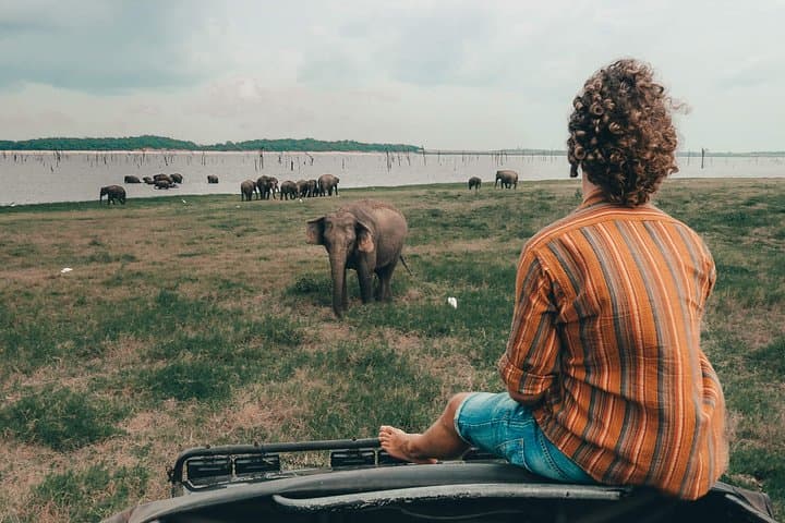 Colombo to Trincomalee Safari & Shuttle: Day Trip to Minneriya, Kaudulla and Hurulu