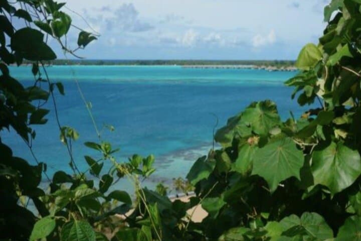 Bora Bora Off-Road 4x4 Sightseeing Tour — Faanui Valley, WWII Sites & Pareu Workshop photo 6