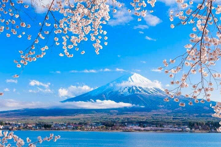 Private Mt. Fuji Five Lakes Walking Tour from Kawaguchiko — Custom Guide Experience photo 3
