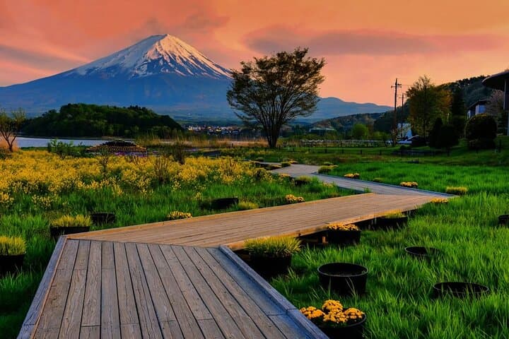 Private Mt. Fuji Five Lakes Walking Tour from Kawaguchiko — Custom Guide Experience photo 5