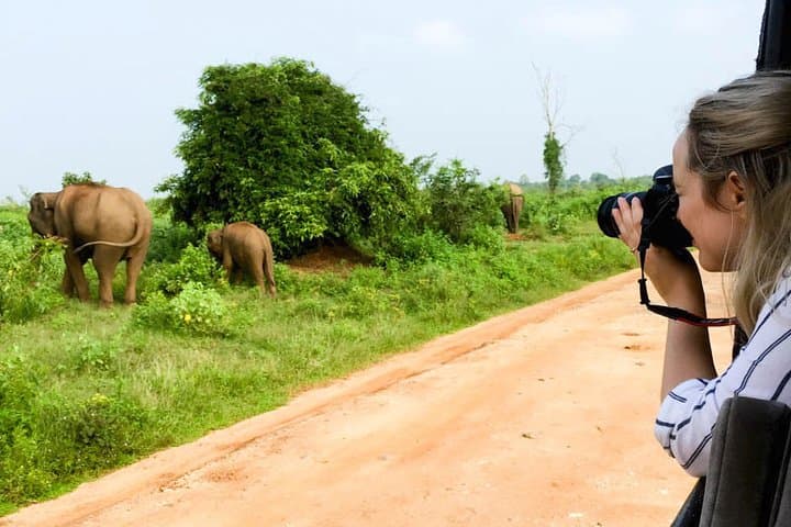 Mirissa to Ella: Udawalawe Safari Drive with Home-Cooked Breakfast
