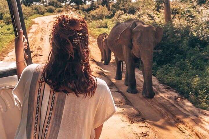 From Ella’s Highlands to Udawalawe Plains: Morning Safari and Shuttle to Mirissa photo 2