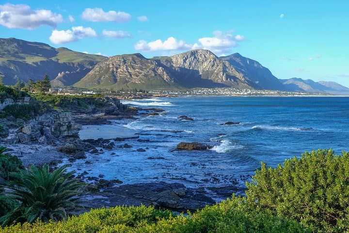 6-Day Garden Route Small-Group Tour from Cape Town — Knysna, Plettenberg & Addo
