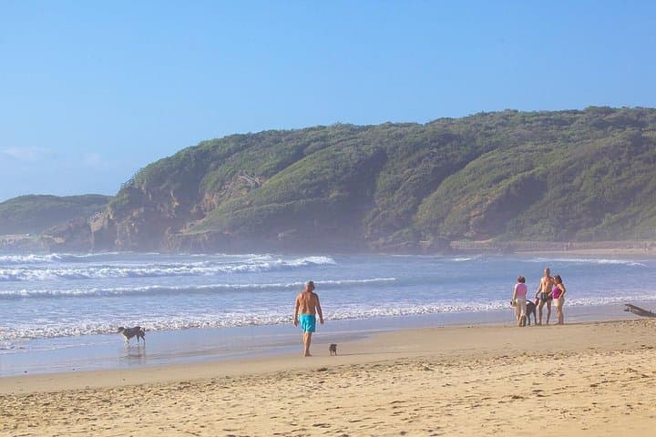 3-Day Garden Route & Botlierskop Game Safari from Cape Town photo 5