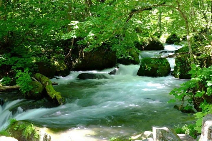 Oirase Gorge and Lake Towada Guided Day Hike: Waterfalls, Forest Trails and Cultural Highlights