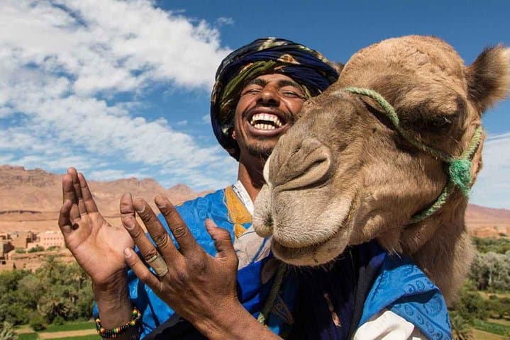 PalmGrove Camel Ride in Marrakech Palmeraie — 1-Hour Camel Trek & Mint Tea