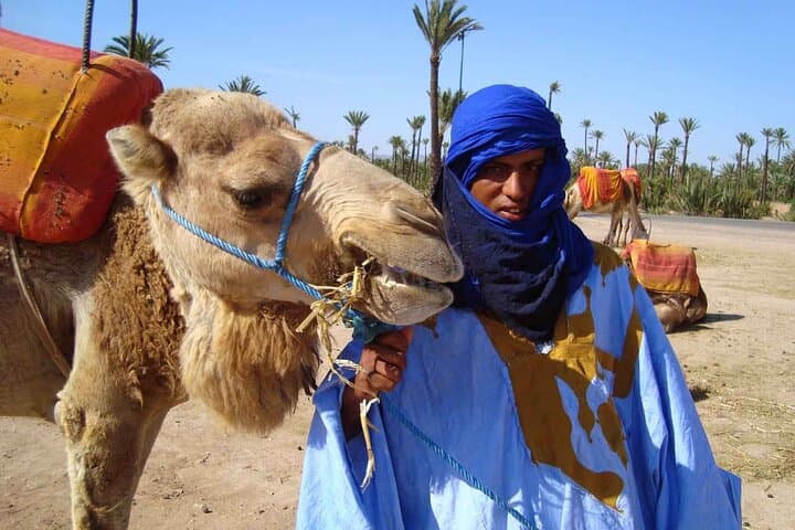 Palmeraie Quad, Camel & Hammam: A Half-Day Marrakech Adventure photo 6