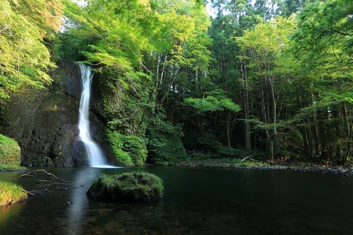 Shirakami-Sanchi Day Hike: Guided Walk Through Ancient Beech Forests photo 4