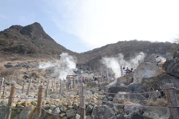 Hakone 6-Hour Private Tour: Owakudani, Lake Ashinoko & Art Museums photo 3