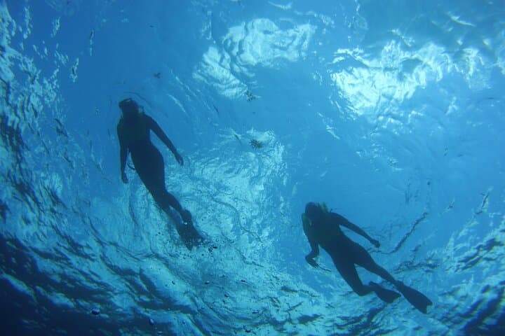 Private Snorkel Charter to Key Largo Reef — Gear Included, Turtle & Ray Sightings