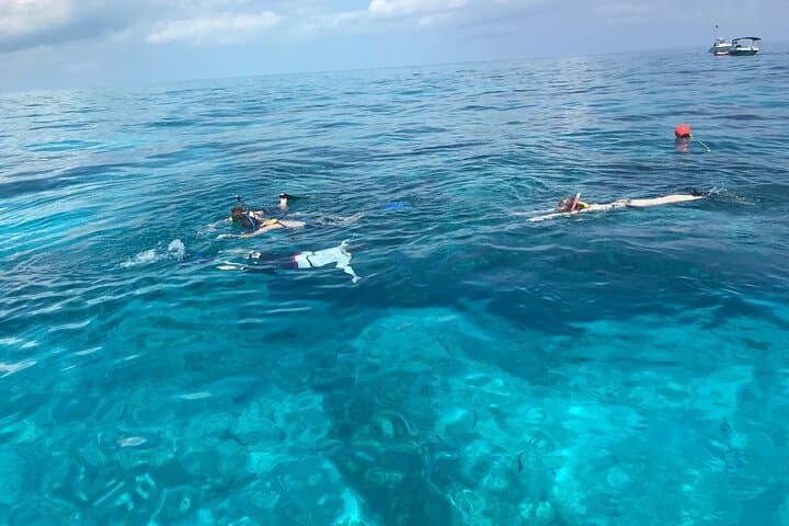 Private Snorkel Charter to Key Largo Reef — Gear Included, Turtle & Ray Sightings photo 2