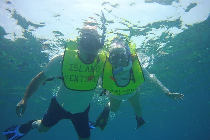 Private Snorkel Charter to Key Largo Reef — Gear Included, Turtle & Ray Sightings photo 4